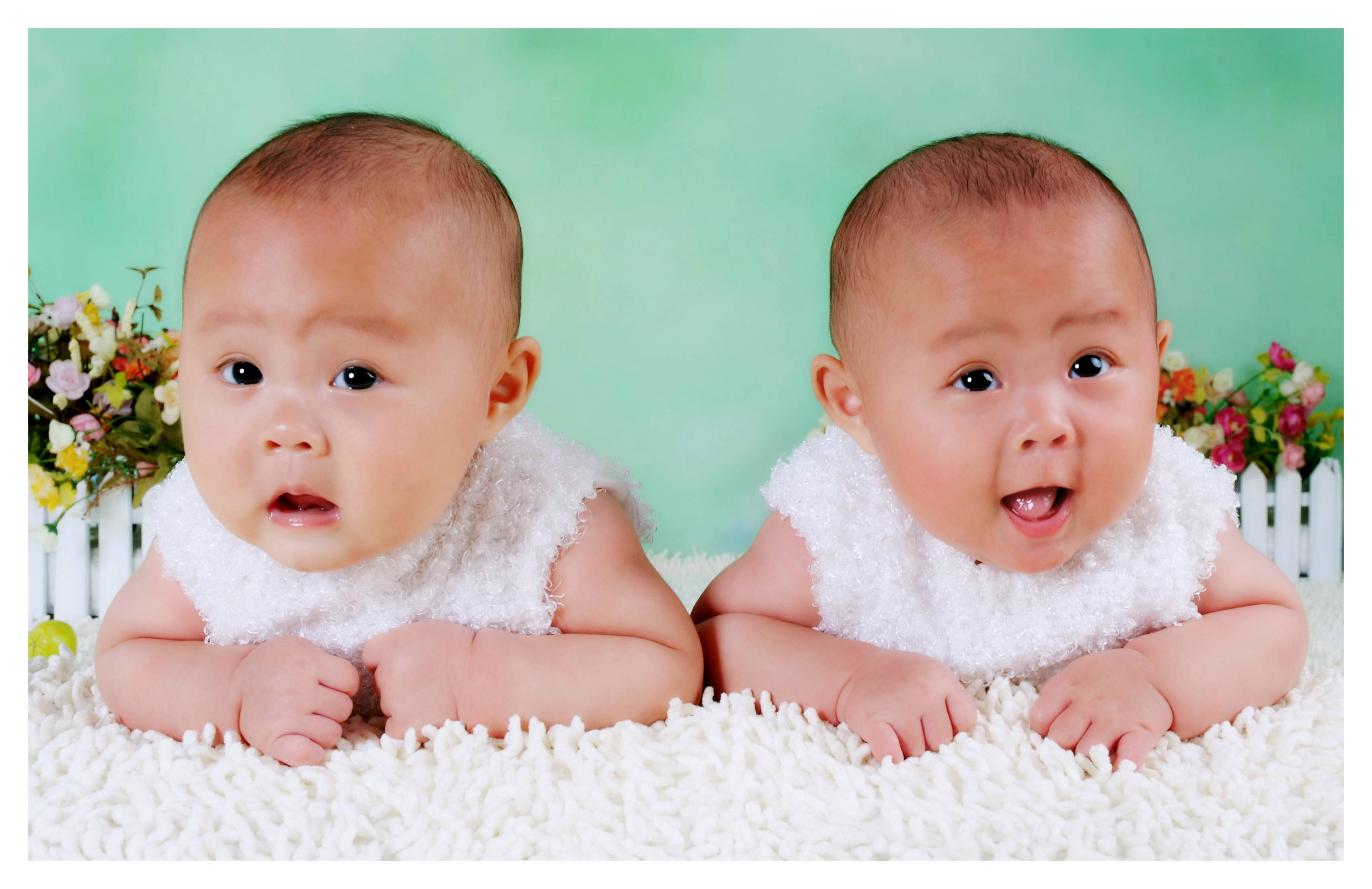 并不神秘的双胞胎效应-双胞胎效应-微科普