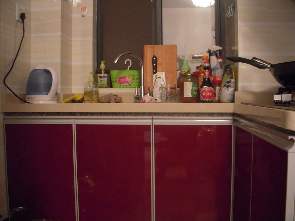 2010我的小窝-一房一厅含公摊38平方面积-装修