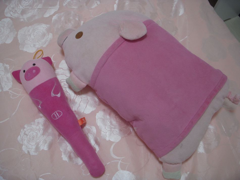 2010我的小窝-一房一厅含公摊38平方面积-装修