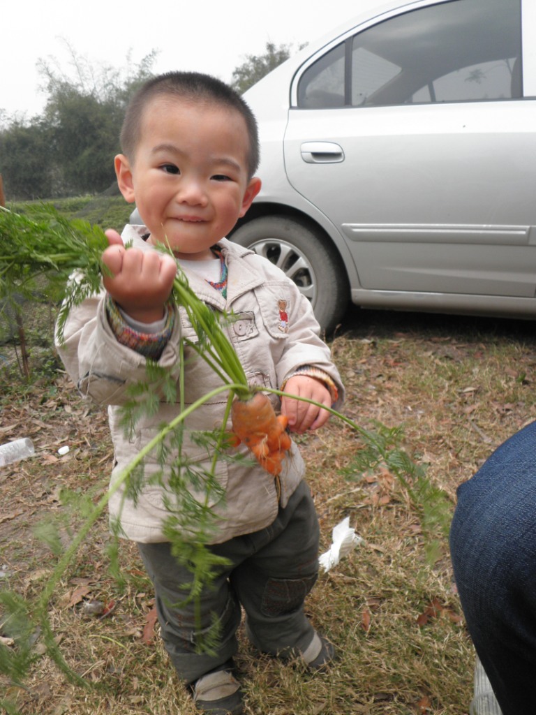 达达农场摘菜啦!告诉他这个是<em>胡萝卜</em>,他却问我