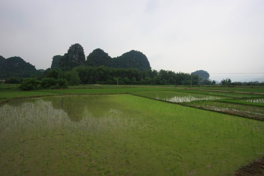 旧地重游,那一绺岁月难忘却--献给40年前曾参加