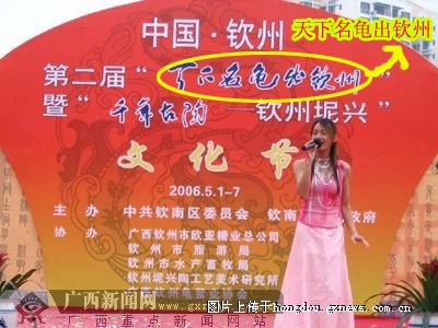 财政收入_2018桂林财政收入(2)