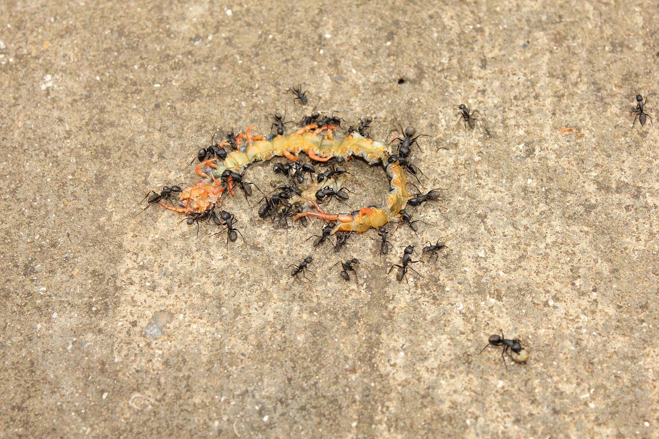 东海上的明珠-美丽东极岛(这个端午节风雨兼程