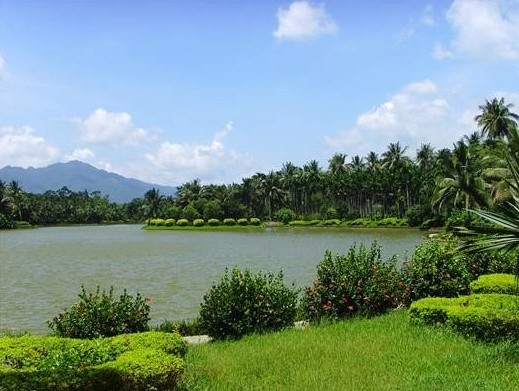 发篇软文欢迎拍砖:海南兴隆,那些迷离在丛林中