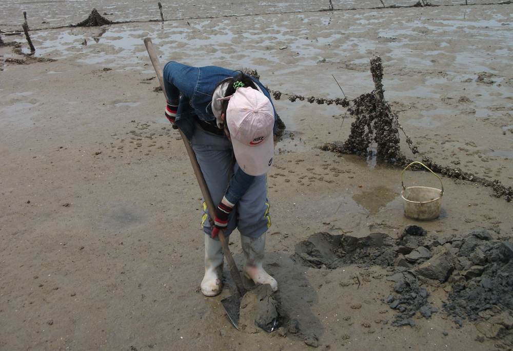 图文杂志《乡亲乡情乡韵》(陆续上传)-今日合浦