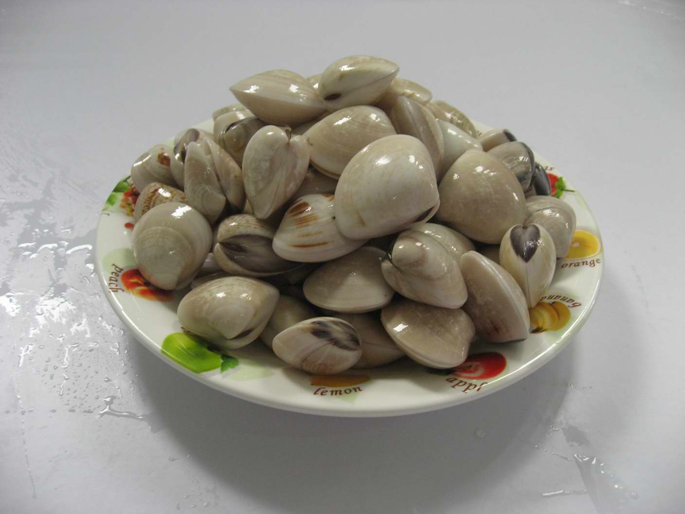 北海贝类知识大普及,海浪共鸣石带你认识一下