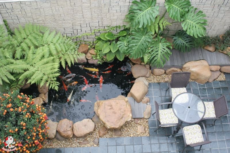 (想要做好花园,就要做假山鱼池)--龙泉山水园艺