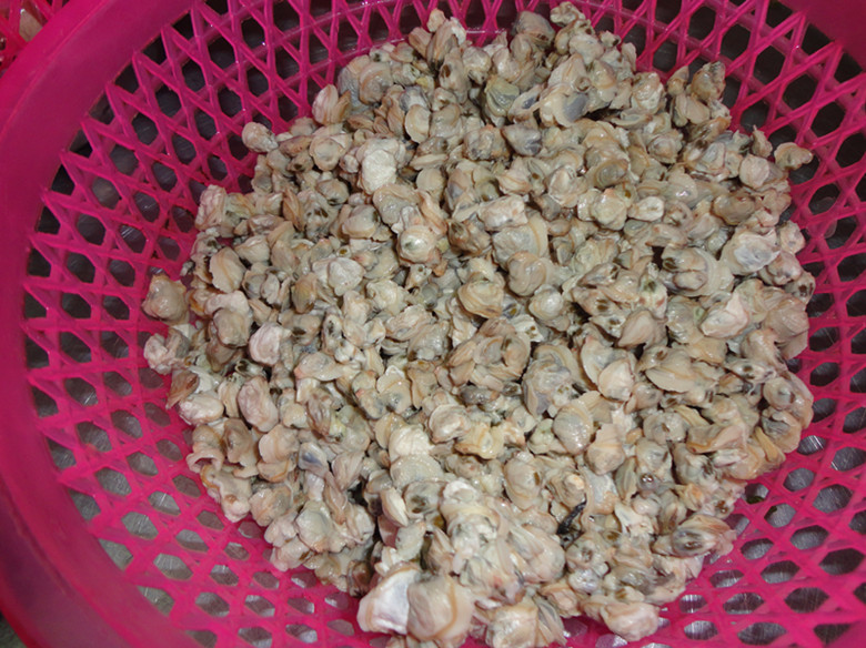爱北海 ,做好北海菜10(北海经典名菜,煎葵龙鱼饼,煎油金鱼,韭菜炒江蚬