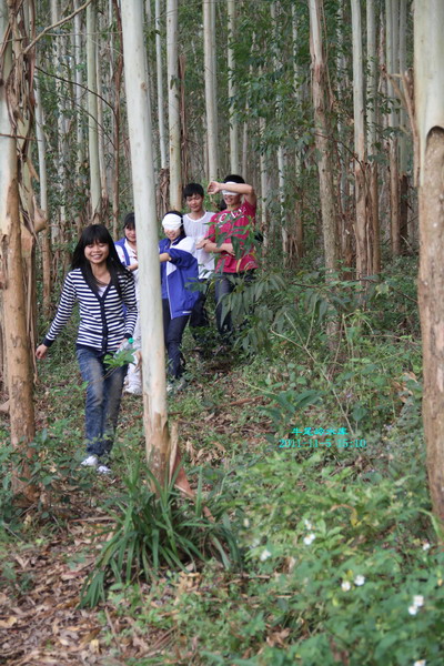 11月5日与廉州学生活动小结(已完成)-民间志愿