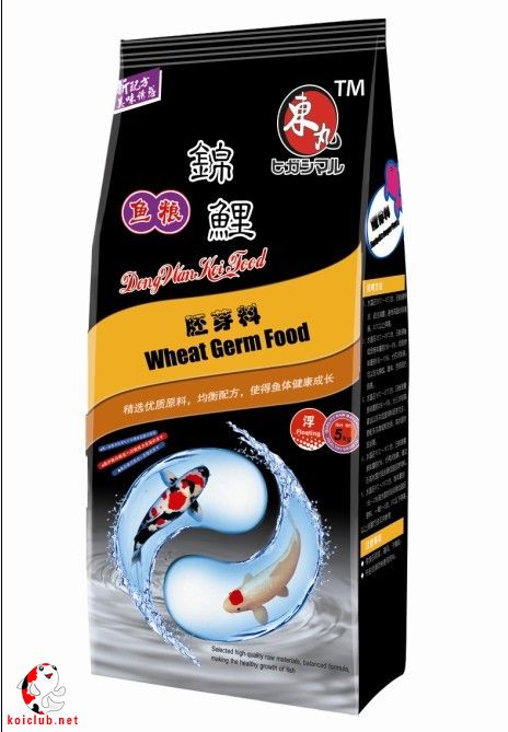 水族市场-北海365网(beihai365.com)