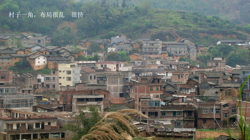 钦州灵山太平那谐村人口_广西钦州灵山大芦村