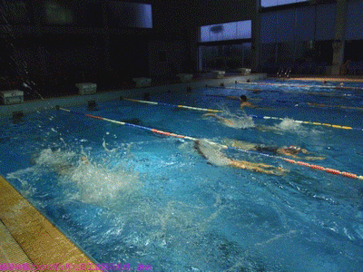 12,13]工业园运动综合馆羽毛球,游泳,女子自由泳pk男子蝶泳(有动画)