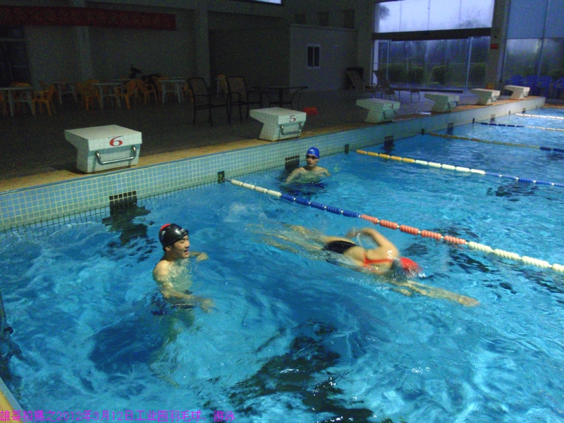 业园运动综合馆羽毛球、游泳、女子自由泳PK