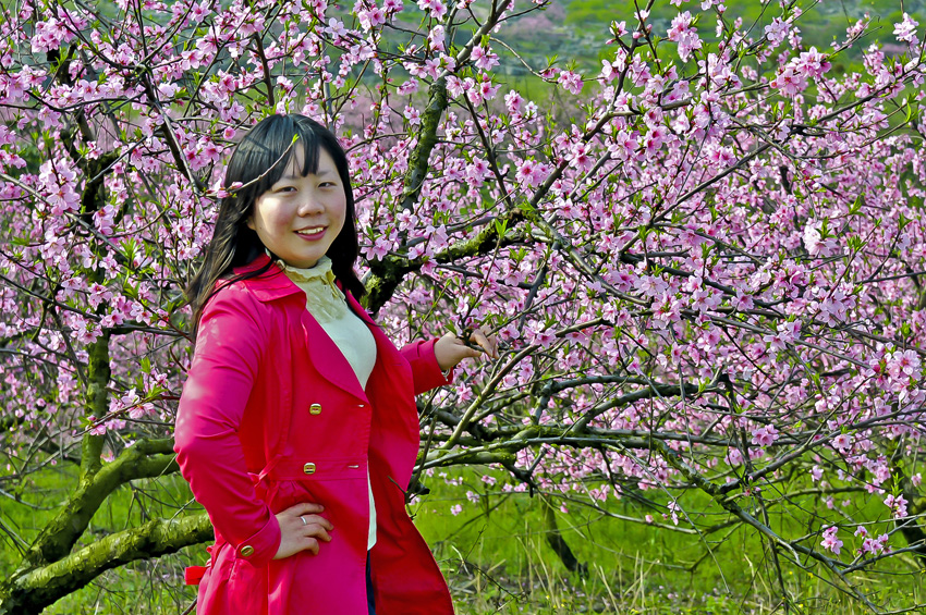 恭城桃花节艳遇美女相映衬