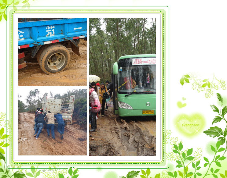 雨露,会人天地春。--3.11合浦康复村植树活动小