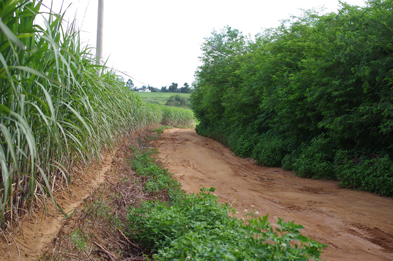 爱心1+1项目20120714西场家访活动总结-下次
