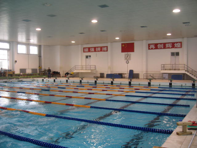 【广西水上运动发展历史之一】广西竞技游泳运