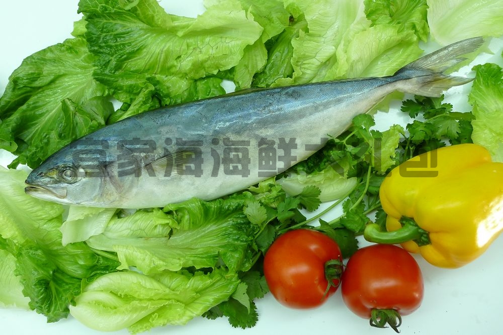 海大厨海鲜礼盒_凯洋世界海鲜礼盒图_海和海鲜礼盒(4)