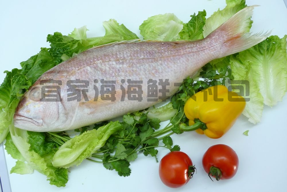 海大厨海鲜礼盒_凯洋世界海鲜礼盒图_海和海鲜礼盒