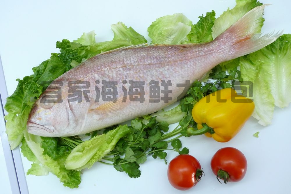 海大厨海鲜礼盒_凯洋世界海鲜礼盒图_海和海鲜礼盒(3)