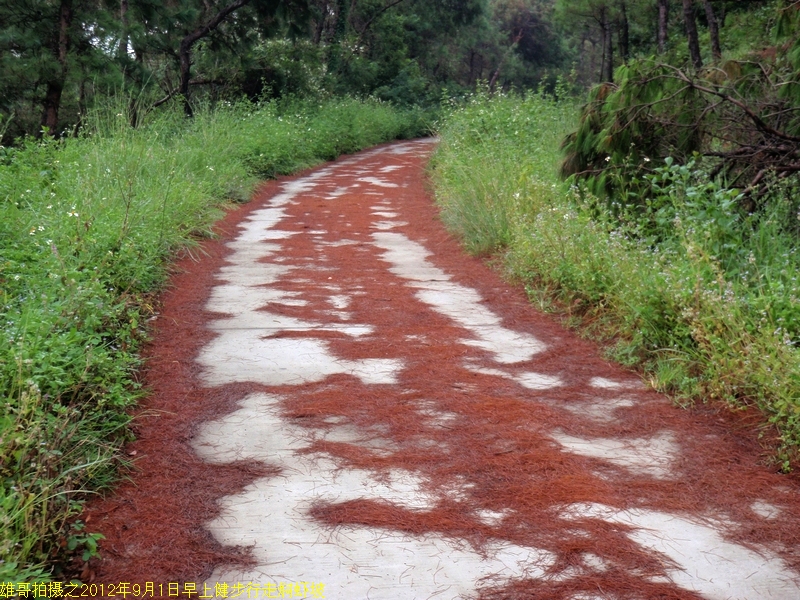 [9.1]早上健步行走焖虾坡-运动健身-北海365网