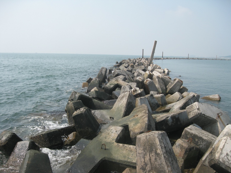 渤海无聊钓梭鱼-鱼乐无限-北海365网(beihai36