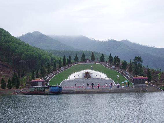 曲樟的美丽、尴尬和困惑-北海时事开讲-北海3