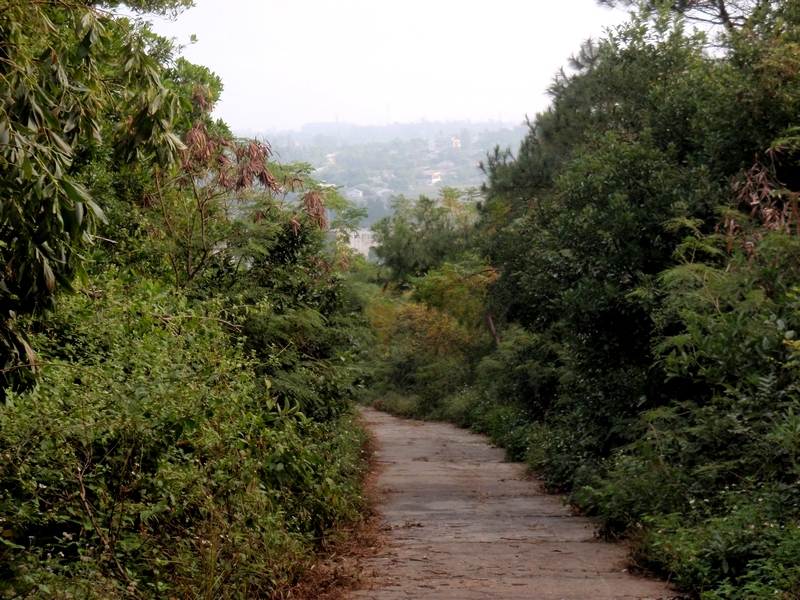 [12.15]健步焖虾坡、骑车党江-运动健身-北海3