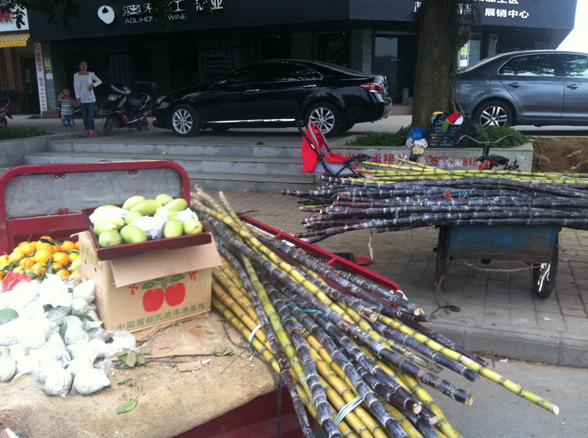 卖甘蔗小摊贩手持水果刀和城管对峙