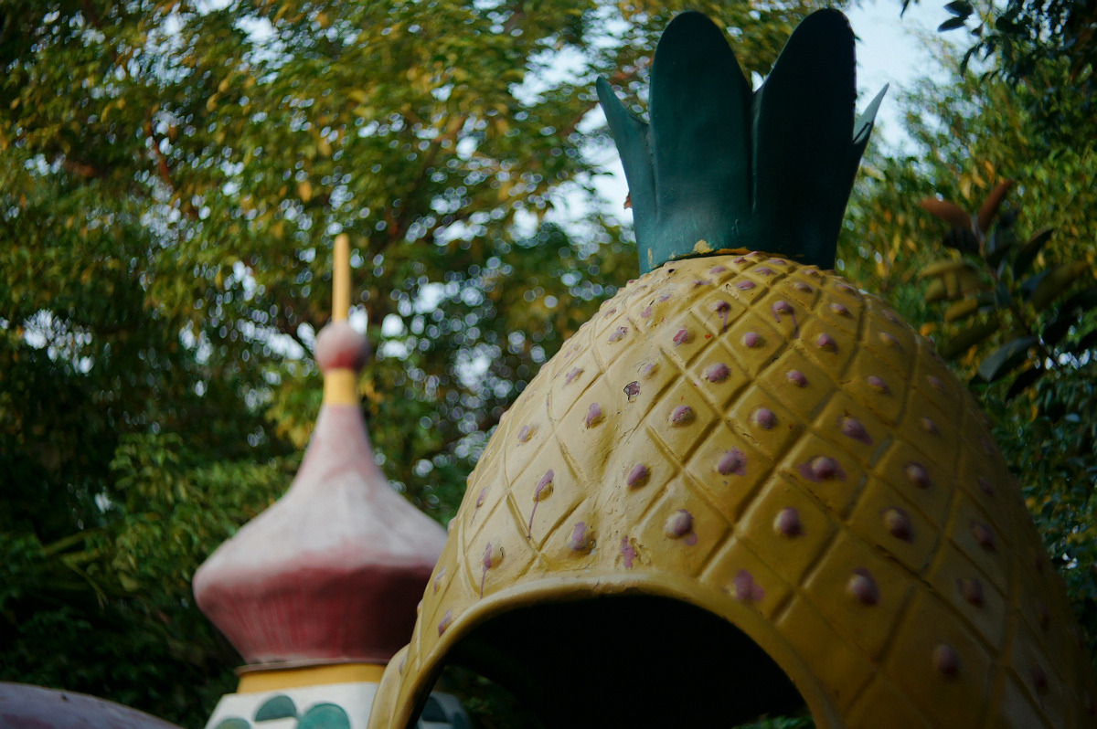 EOS-NEX佳能EF口镜头转索尼E口机 移轴转接