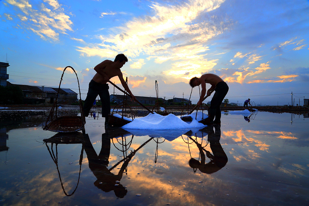 我有一个梦:让竹林成为全球重要农业文化遗产保护项目-北海时事开讲-北海365网(beihai365.com)