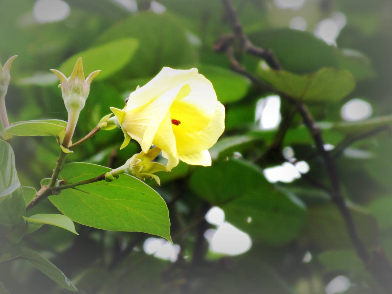 香港几个值得去的地方-游山玩水-北海365网(b