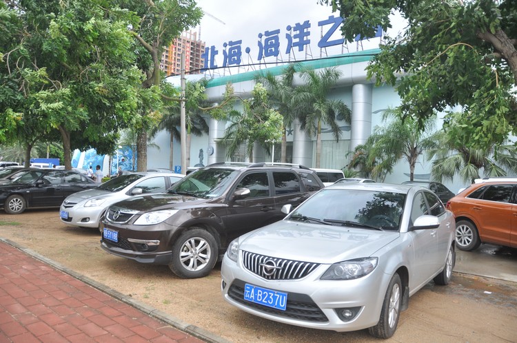 台风飞燕来袭,海洋之窗竟然有几千人参观,停