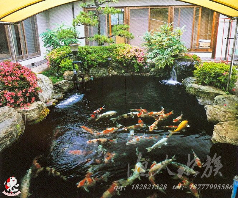 海鲜池_海鲜池的过滤系统_建海鲜池(4)