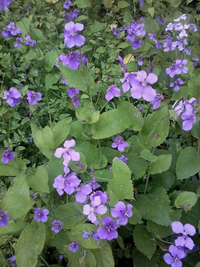 2013年的乡村<em>田园生活-照片</em>里的故事-北海365