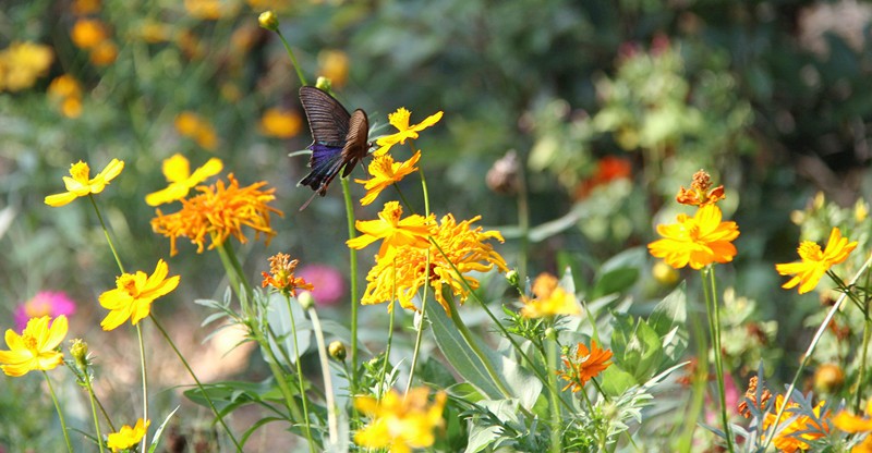 2013年的乡村<em>田园生活-照片</em>里的故事-北海365