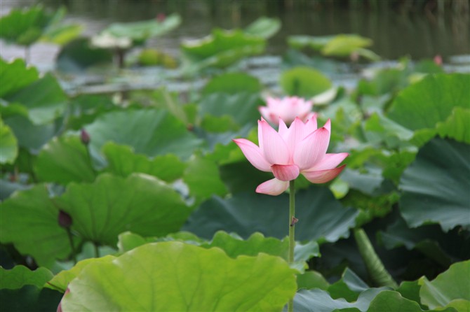 2013年的乡村<em>田园生活-照片</em>里的故事-北海365