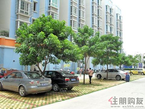 云南路 美丽家园 3房2厅 38.8万 09年新房未入