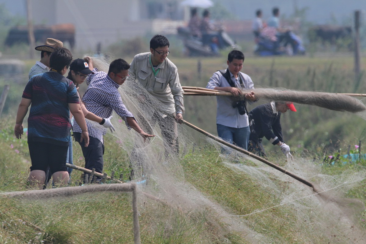 【紧急招募】人人都是志愿者--为鸟儿迁徙开辟