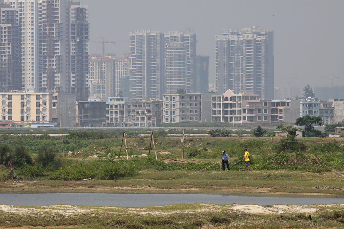 【紧急招募】人人都是志愿者--为鸟儿迁徙开辟