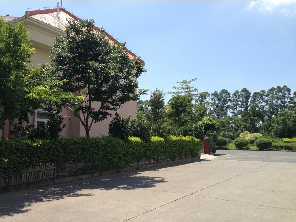 碧雅苑独体别墅豪装便宜出售-二手房中介专区