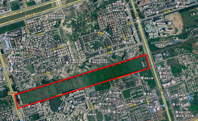 北海今年有超过100支运动队前来冬训,成为全国