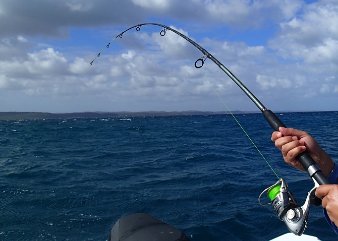 在澳大利亚钓鱼(上)-鱼乐无限-北海365网(beih