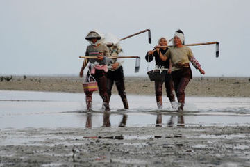 <em>三八 妇女节</em>讲女人<em>故事</em>!-帖子不符合主题-北海