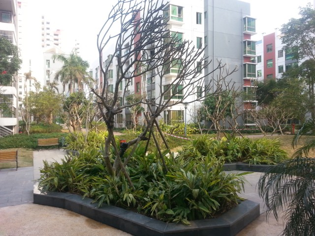 云南南路《翡翠园小区》 2房2厅双阳台 步梯5