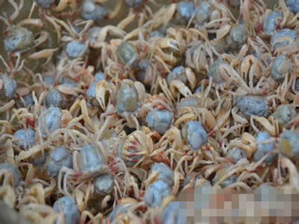 城事特搜 热点捕捉(续六):镜头下最近最酷最给