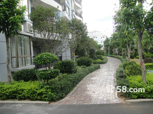 云南路嘉来酒店斜对面《鸿正丽苑》244平方复