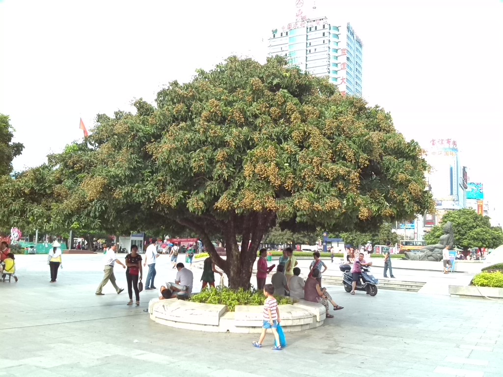 城事特搜 热点捕捉(续十):镜头下最近最酷最给