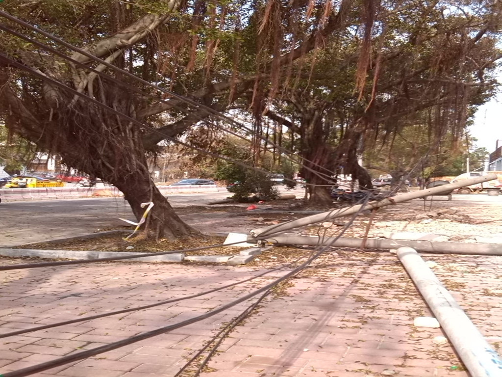 北海城事特搜之第9号超强台风灾害特辑(新茶特