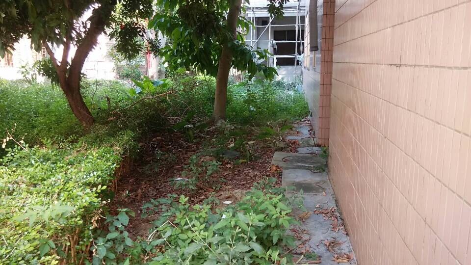 十万火急北海市中心独体别墅急售-二手房出售